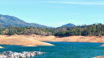 Water Sport Resorts in California: Jones Valley Resort and Marina