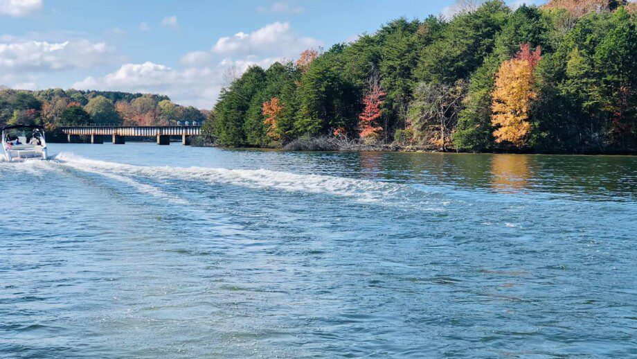 Lake Norman Marina