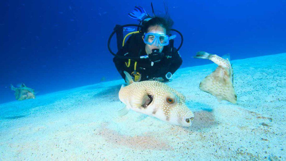 Poseidon Divers Dahab