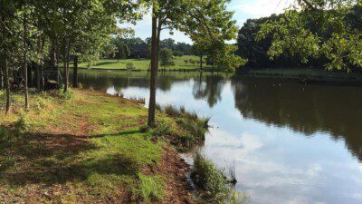 WakeScout listings in South Carolina: Lake Flumi Waterski Club