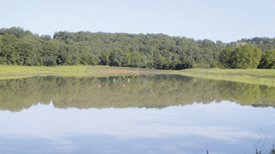 Cedar Creek Water Ski Park